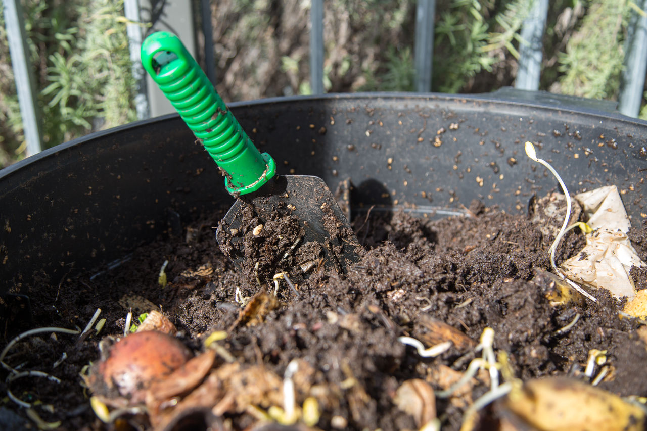 Compost bin without lid with small, green-handled garden fork and fresh kitchen scraps on top of compost including egg shells, mung beans and banana skins.
