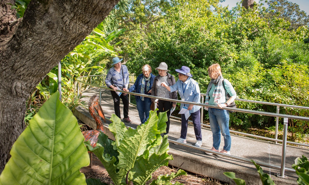 Free Guided Tour Brisbane Botanic Gardens Mt Coot Tha Brisbane City Council