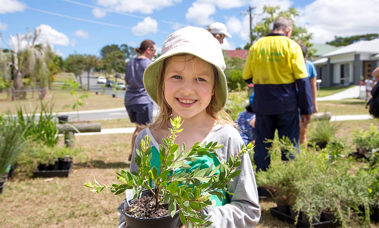 Runcorn community street tree planting event | Brisbane ...