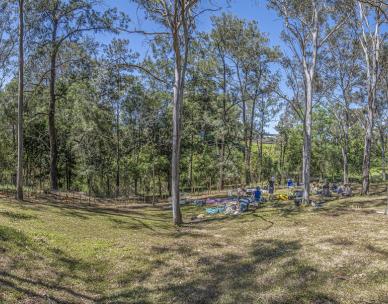 Volunteer Bushcare Working Bee - Harman's Reserve Bushcare Group