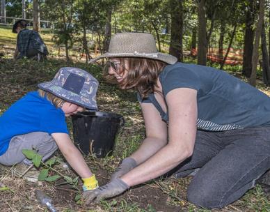 Volunteer Bushcare Working Bee - Jindalee Bushcare Group