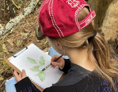 Nature Journalling (8 - 16 year olds)