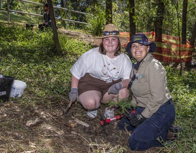 Volunteer Bushcare Working Bee - Perrin Creek (Miawela St Park) Bushcare Group