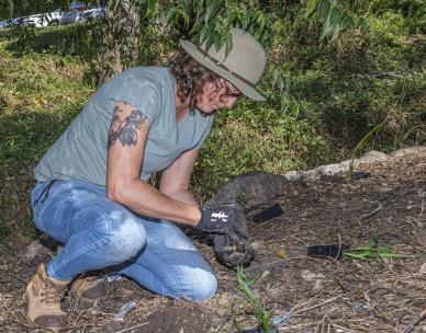 Volunteer Bushcare Working Bee - Caeser's Place Bushcare Group