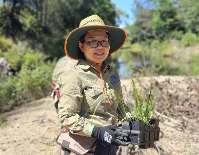 Volunteer Bushcare Working Bee - Nicholas Park Bushcare Group