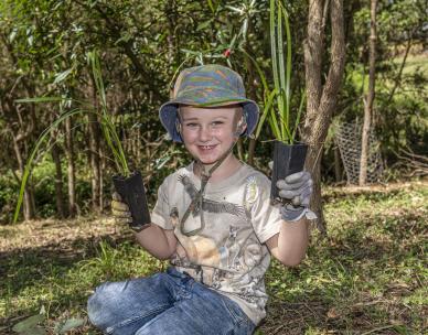 Volunteer Bushcare Working Bee - Perrin Creek (Miawela St Park) Bushcare Group