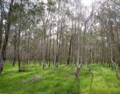 Boondall Wetlands Environment Centre | Brisbane City Council