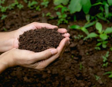 Building healthy soils