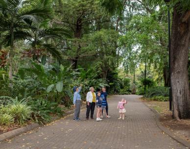 Sunday Guided Walks - City Botanic Gardens