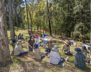 Volunteer Bushcare Working Bee - Moorhen Flats - Norman Creek FREECS