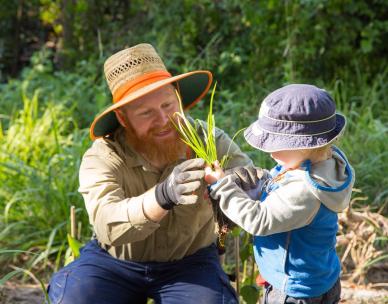 Volunteer Bushcare Working Bee - Yoorala Street East Bushcare Group