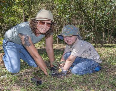 Volunteer Bushcare Working Bee - Brushbox Habitat Group