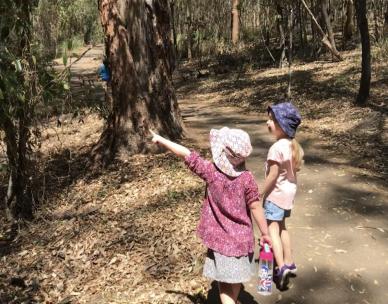 Bush kindy guided walk