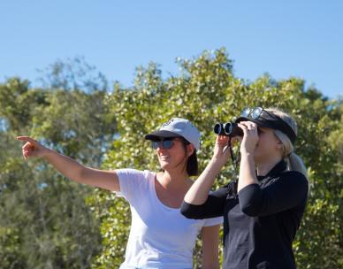 Birdwatching walk