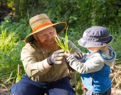 Volunteer Bushcare Working Bee - Bald Hills Bushies