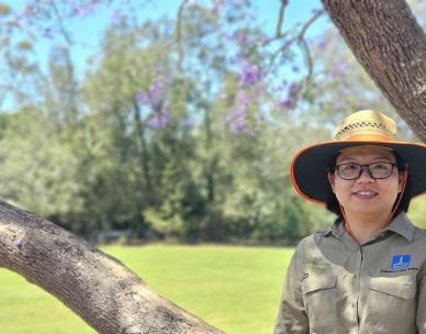 Volunteer Bushcare Working Bee - Tennis Avenue Bushcare Group