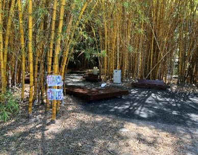 First 5 Forever children's storytime in the Bamboo Grove