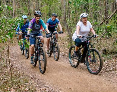 Adults beginner mountain bike skills