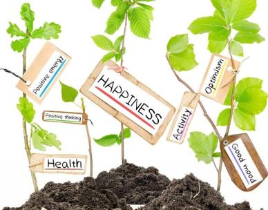 Nature and Gardening for Mental Wellbeing