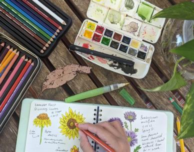 Nature Journalling for Adults