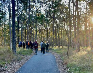 12 Days of Christmas – Twilight Walk (Karawatha Rocks Track)