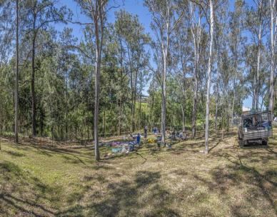 Volunteer Bushcare Working Bee - Taringa Parade Bushcare Group