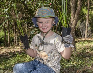 Volunteer Bushcare Working Bee - Rainbow Forest Experimental Rehabilitation Group