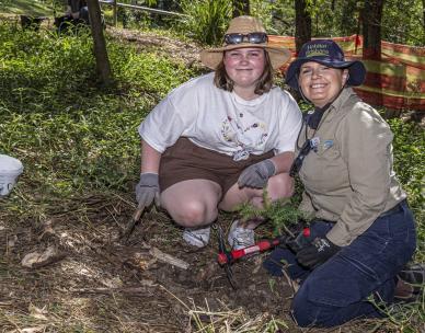 Volunteer Bushcare Working Bee - Walan Bushcare Group