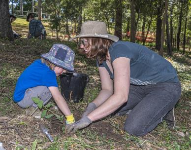 Volunteer Bushcare Working Bee - Moorhen Flats - Norman Creek FREECS