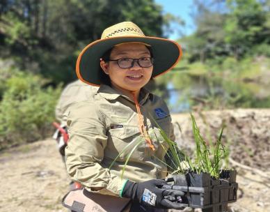 Volunteer Bushcare Working Bee - Nosworthy Park Bushcare Group