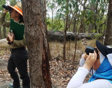 Birdwatching walk for beginners