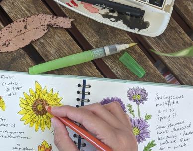 Nature journaling for adults