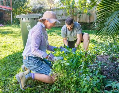 Free green waste weekend