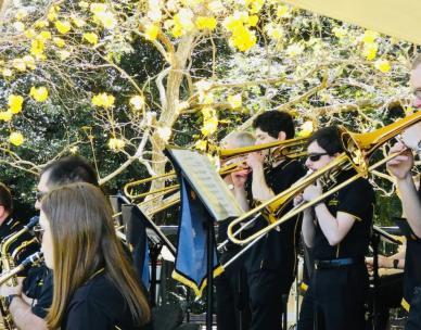 Bands in Parks: A Swinging Victory