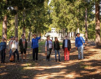 Sherwood Arboretum guided walk