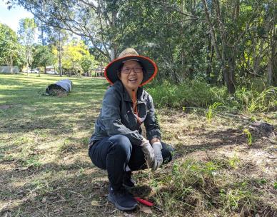 Volunteer Bushcare Working Bee - Brandon Road Bushcare Group