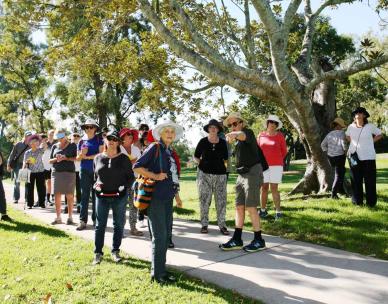 Sherwood Arboretum guided walk