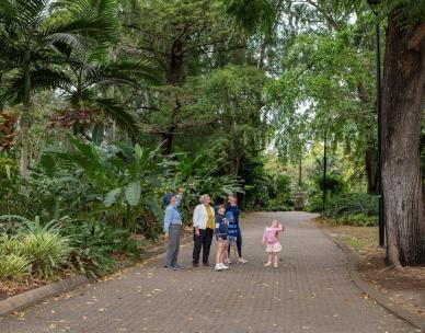 Sunday Guided Walk - City Botanic Gardens