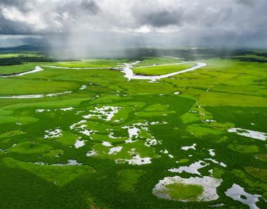 World Wetlands Day - Wetlands of Queensland - A Queensland Museum Discovery Guide with Mike Ronan and Gary Cranitch