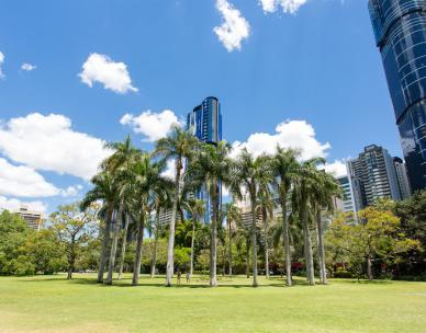 Celebrating 170 years of the City Botanic Gardens - Guided walk