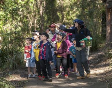 Junior Explorers: Guided walk (7-12 years)