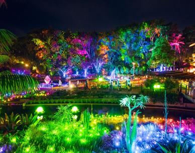 The Enchanted Garden