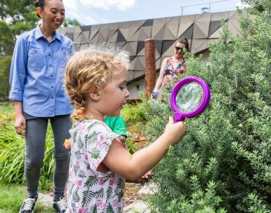 Bush Kindy - Harmony Week