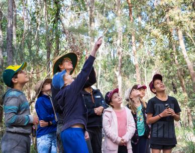 Junior Explorers: Bush Detectives (7 - 12 years)