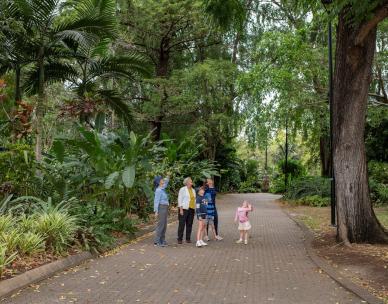 Sunday guided walk - City Botanic Gardens