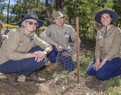 Volunteer Bushcare Working Bee - Brookfield Showgrounds Bushcare Group