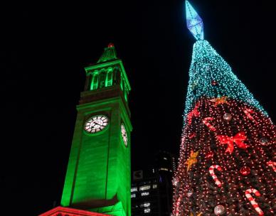 Brisbane City Christmas Tree