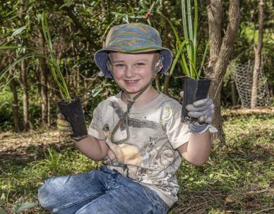 Volunteer Bushcare Working Bee - McDowall Bushcare Group