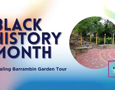 Black History Month: Healing Barrambin Garden Tour