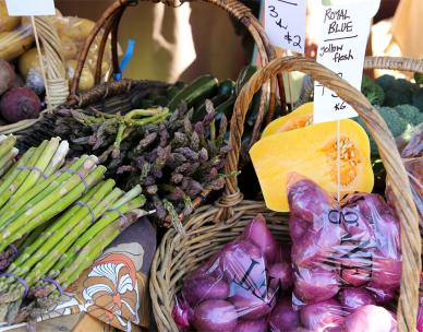 Growing organic veggies for a year round supply